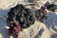 22-03-10-17-46-21-9416 22-03-10-17-46-21-9416