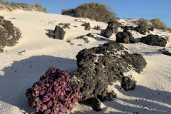 22-03-10-17-46-49-9417 22-03-10-17-46-49-9417