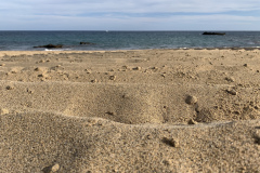 22-03-11-17-15-33-9484 22-03-11-17-15-33-9484