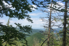 20-05-17-13-11-12-7220