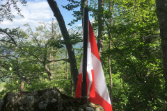 20-05-17-13-12-17-7221