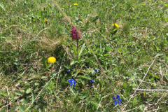 20-05-17-14-16-38-7223