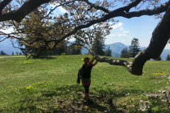 20-05-17-14-21-47-7225