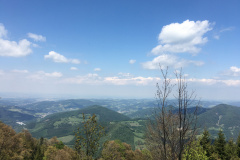 20-05-17-14-29-31-7231