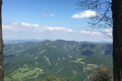 20-05-17-15-04-49-7234