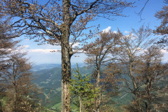 20-05-17-15-09-42-7235