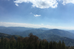 20-05-17-15-14-17-7236