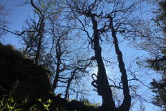 20-05-17-16-50-12-7244