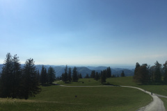 20-05-17-17-06-48-7245