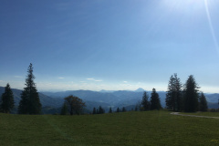 20-05-17-17-09-09-7246