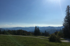 20-05-17-17-17-02-7247