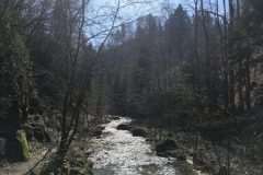 Pesenbach Pesenbach