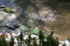 Pesenbach Pesenbach