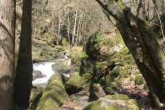Pesenbach Pesenbach