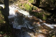 Pesenbach Pesenbach