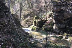 Pesenbach Pesenbach