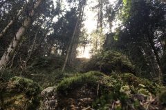 Aufstieg zum Kerzenstein Aufstieg zum Kerzenstein
