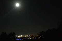 20-04-08-22-56-38-7084