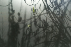 20-04-11-13-17-57-7093