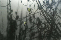 20-04-11-13-18-00-7094