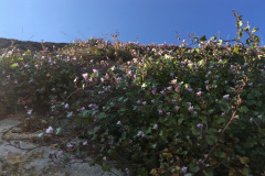 20-04-12-17-26-31-7102