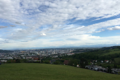 Blick über Linz