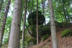 20-05-02-18-03-58-7139