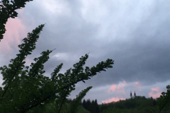 20-05-02-20-14-49-7140