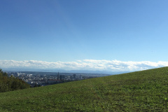 Blick über Linz