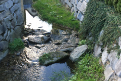 Am Bachbergweg