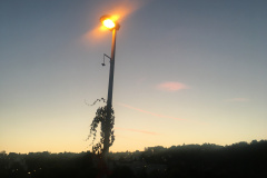 21-10-16-18-28-06-8551