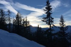 Waldstück