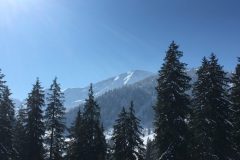 Blick vom Mitarbeiterhaus auf die Berge
