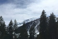 Blick aus dem Wald über die Berge