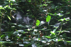 20-09-05-14-25-46-7446