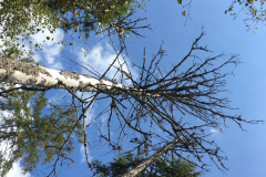 20-09-12-14-06-53-7552