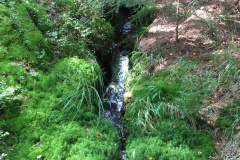 20-09-12-14-26-38-7553