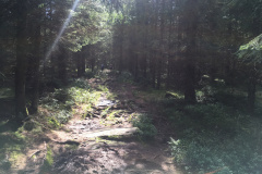 20-09-12-14-30-07-7557