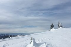 Annaberg Tirolerkogel, Schneefeld nahe dem Gipfel Annaberg Tirolerkogel, Schneefeld nahe dem Gipfel