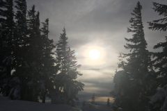 Annaberg Tirolerkogel, Blick in den verschneiten Wald Annaberg Tirolerkogel, Blick in den verschneiten Wald