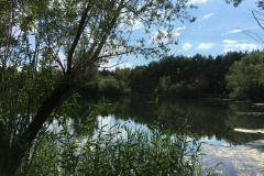 20-06-11-16-15-45-7261