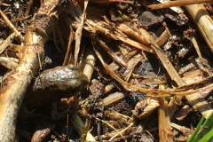 20-06-11-16-40-56-7263